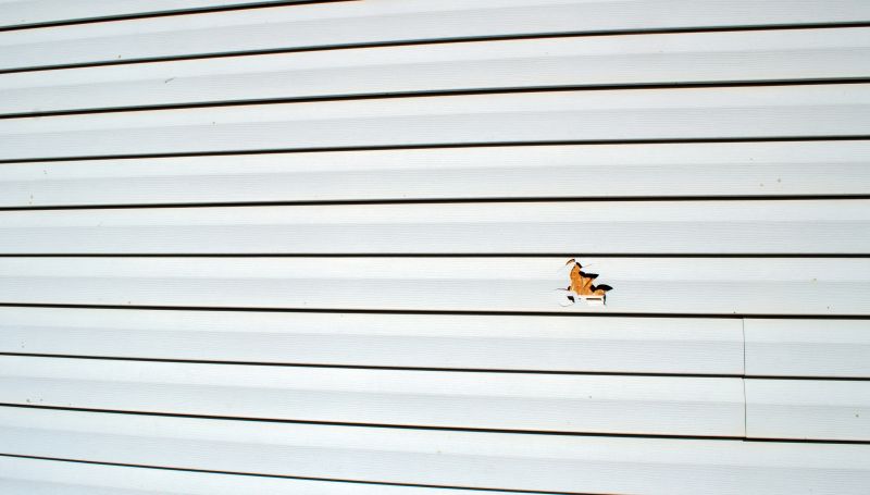 Repaired Hardie Plank Section